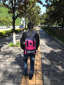 跟着导游小伙畅游张家界 朋友的推荐，满满的好评